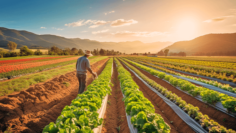 Agroecología: una alternativa sostenible frente a la crisis ambiental