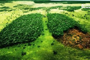 Inversión histórica: el gobierno aumentó el gasto en protección ambiental