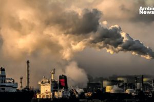 La interconexión entre cambio climático, contaminación y pérdida de biodiversidad: una crisis global