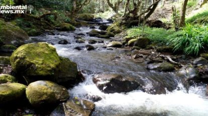 Los Dinamos: un paraíso ecoturístico en la CDMX que promueve la conservación ambiental
