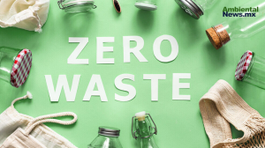 Movimiento Zero Waste: menos residuos, más ahorros y un planeta más limpio