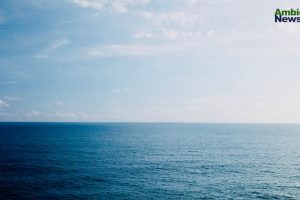 Un respiro para los océanos: las temperaturas oceánicas bajan después de un año