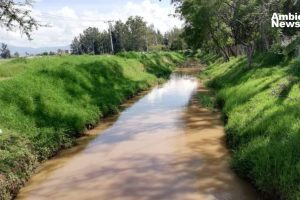Zonas de protección ambiental en Michoacán se convertirán en guardianes del medio ambiente