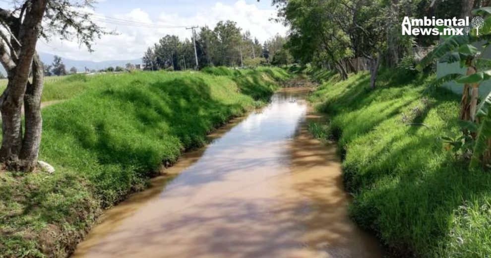 Zonas de protección ambiental en Michoacán se convertirán en guardianes del medio ambiente