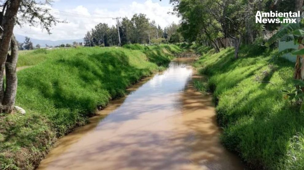 Zonas de protección ambiental en Michoacán se convertirán en guardianes del medio ambiente