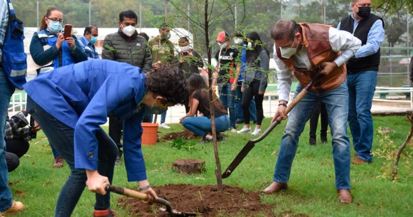 Un futuro más verde: Guanajuato inicia inventario de su arbolado urbano