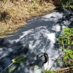 Crisis ambiental en Tehuacán lavanderías irregulares provocan desastre en salud pública y medio ambiente