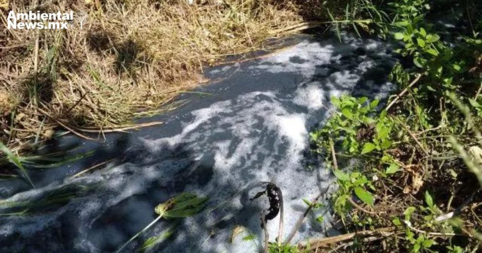 Crisis ambiental en Tehuacán: lavanderías irregulares provocan desastre en salud pública y medio ambiente 11 Crisis ambiental en Tehuacán lavanderías irregulares provocan desastre en salud pública y medio ambiente