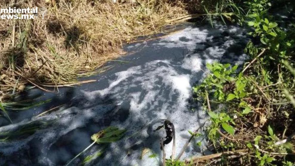 Crisis ambiental en Tehuacán lavanderías irregulares provocan desastre en salud pública y medio ambiente