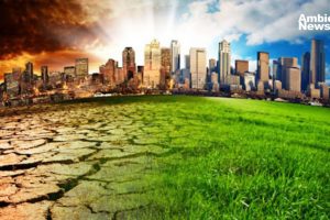 Crisis ecológica global La OCDE y la ONU destacan la importancia de la educación para el futuro