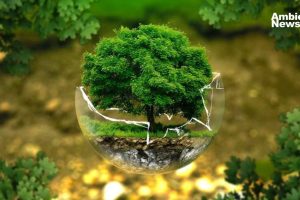 Transformación verde en Veracruz las empresas podrán beneficiarse al cuidar del medio ambiente