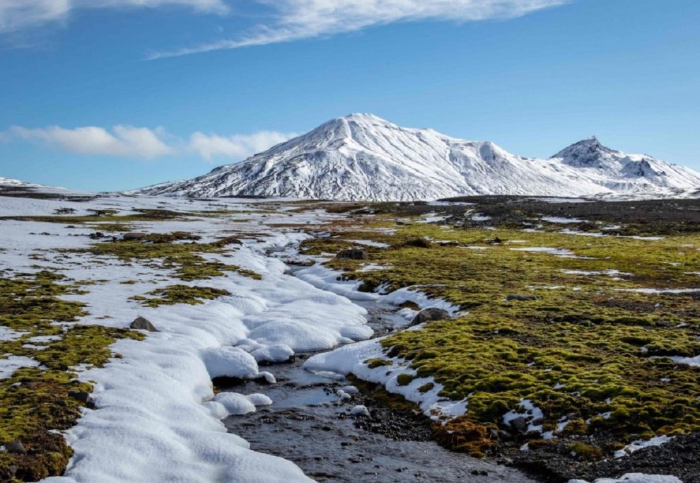 El Ártico podría volverse verde por el calentamiento global