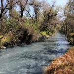 Autoridades de Tlaxcala investigan la fuente de la contaminación de los ríos y barrancas