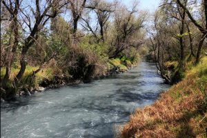Autoridades de Tlaxcala investigan la fuente de la contaminación de los ríos y barrancas