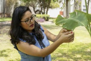 ¿Cómo se escucha la Música Vegetal? Madis Agromusic nos lo revela