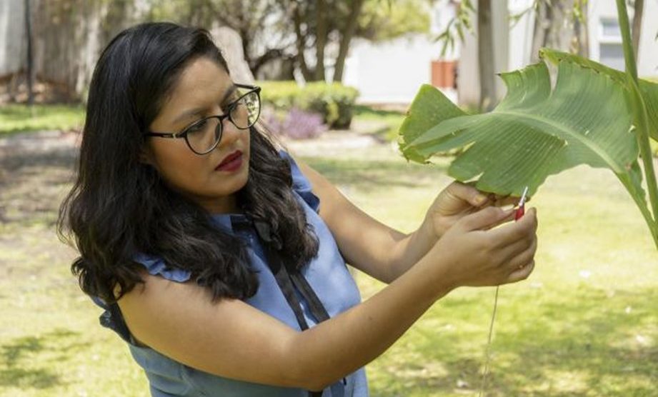 ¿Cómo se escucha la Música Vegetal? Madis Agromusic nos lo revela