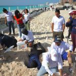 Huracán Beryl: evacuan más de 10,000 huevos de tortuga en Cancún