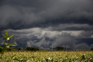 El futuro del clima: cómo el brillo de las nubes marinas podría transformar el planeta