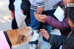 ¡Iniciativa en Chihuahua! Proponen educación ambiental para niños y adolescentes