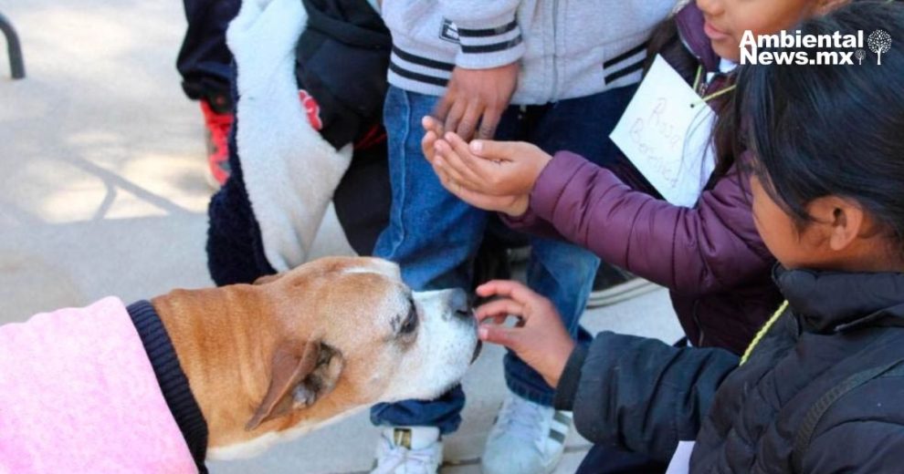 ¡Iniciativa en Chihuahua! Proponen educación ambiental para niños y adolescentes