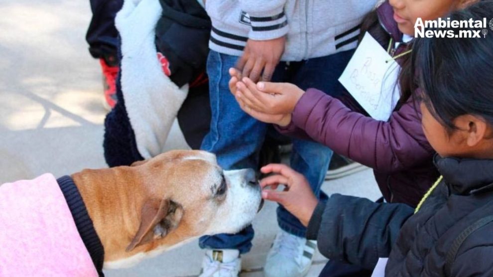 ¡Iniciativa en Chihuahua! Proponen educación ambiental para niños y adolescentes