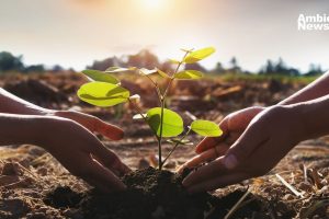 ¿Sabías que plantar árboles no es suficiente Estas son las soluciones integrales para la restauración ecológica