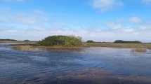 Everglades: el proyecto ambiental más grande del planeta avanza en Florida ¿De que se trata?