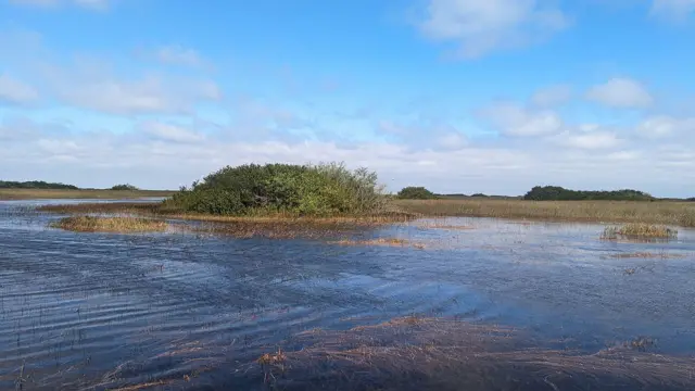 Everglades: el proyecto ambiental más grande del planeta avanza en Florida ¿De que se trata?