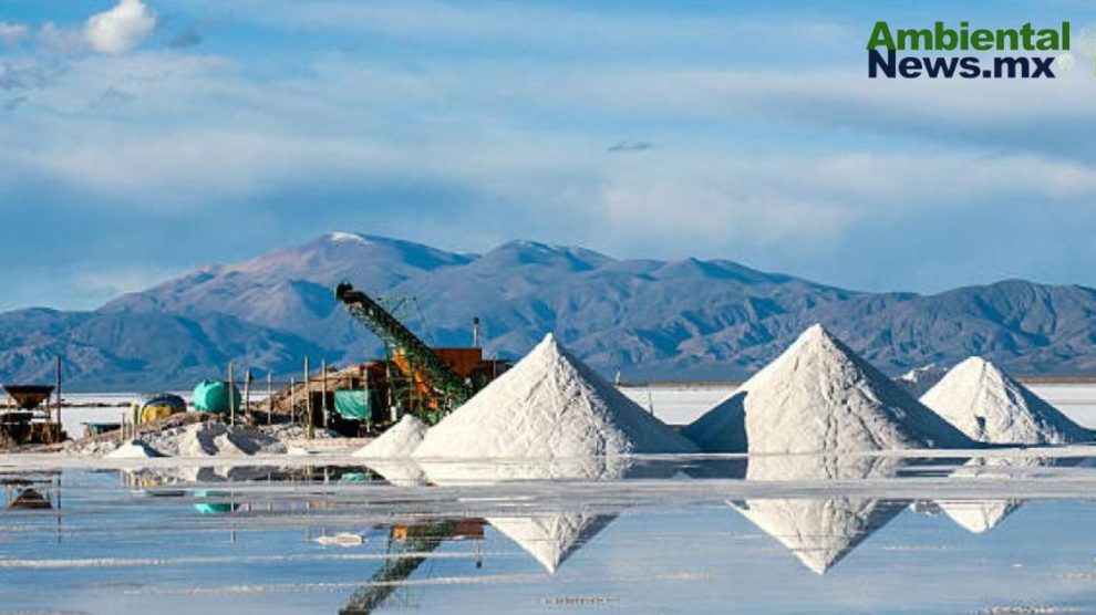 El precio del progreso: la fiebre del litio en Argentina ha tenido devastadores efectos ambientales