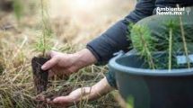 Gobiernos estatales y municipales deben fortalecer mecanismos de protección a la naturaleza, aprueban en Comisión