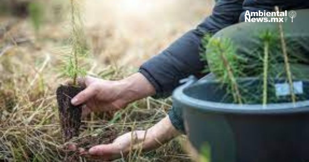 Gobiernos estatales y municipales deben fortalecer mecanismos de protección a la naturaleza, aprueban en Comisión