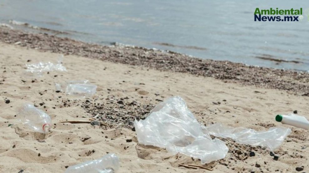 Hongos que podrían ayudar a limpiar el mar