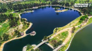 Incremento de aves en el Bosque de San Juan de Aragón ¡47 nuevas especies registradas!