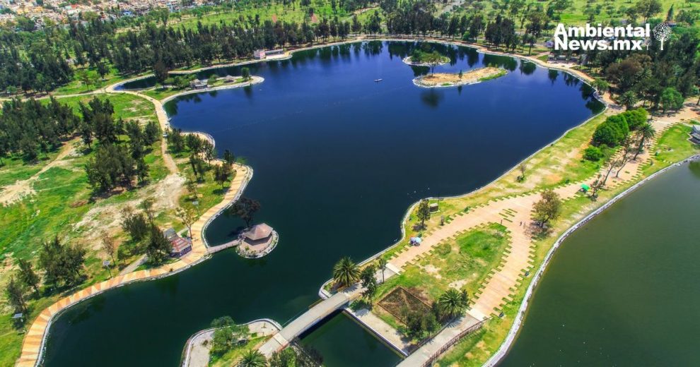 Incremento de aves en el Bosque de San Juan de Aragón ¡47 nuevas especies registradas!