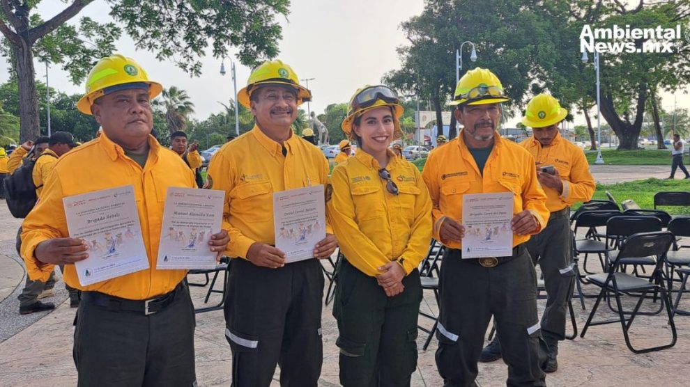 La batalla silenciosa por el bosque de guardias forestales reconocidos en Quintana Roo