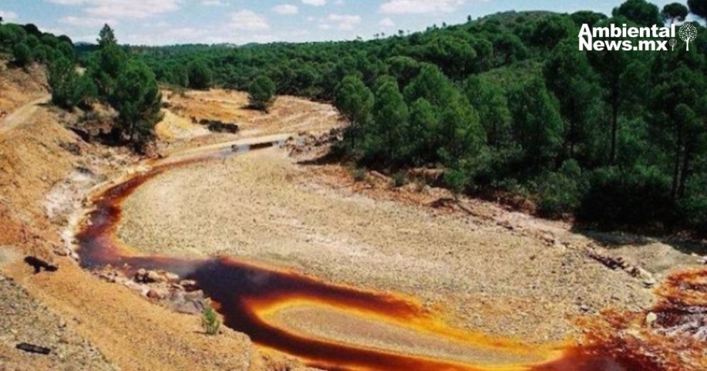 La contaminación persistentes del derrame tóxico en el Río Sonora por el Grupo México