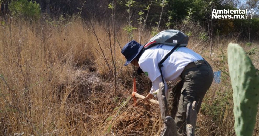 La gran estrategia ambiental de Guanajuato que lleva más 50 millones de pesos invertidos