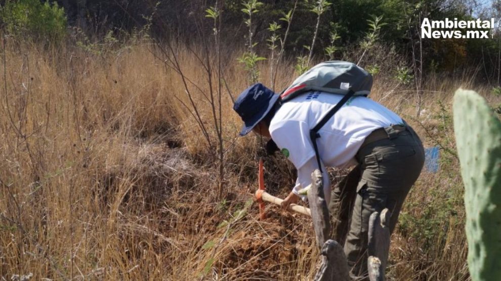 La gran estrategia ambiental de Guanajuato que lleva más 50 millones de pesos invertidos