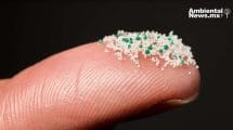 La verdad sobre los microbioplásticos ¿Realmente son una alternativa segura