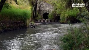 Más del 90% de las empresas en la cuenca del Río Atoyac no cumplen con las normas ambientales.