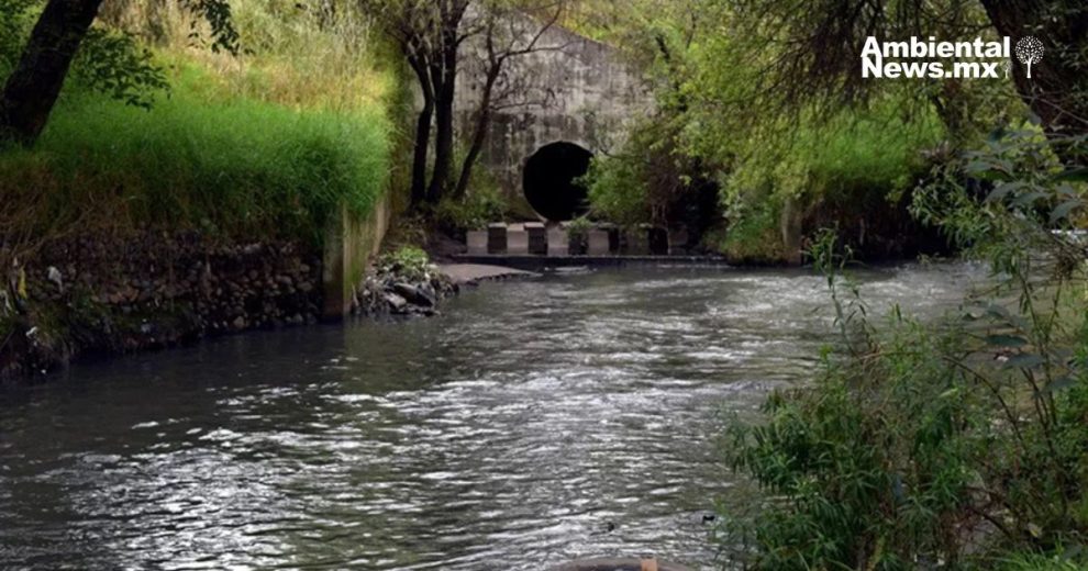 Más del 90% de las empresas en la cuenca del Río Atoyac no cumplen con las normas ambientales.