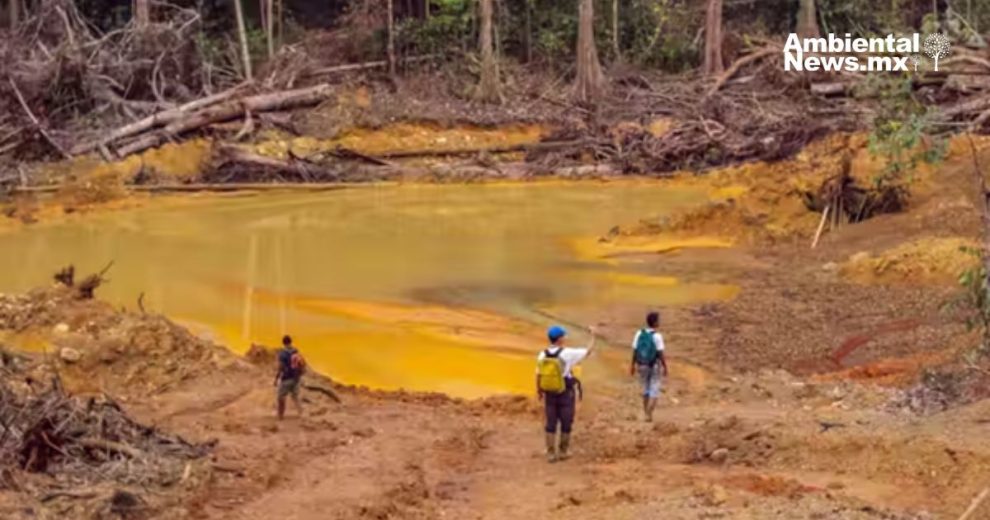 Mercurio en el suelo una amenaza que se agrava con el cambio climático