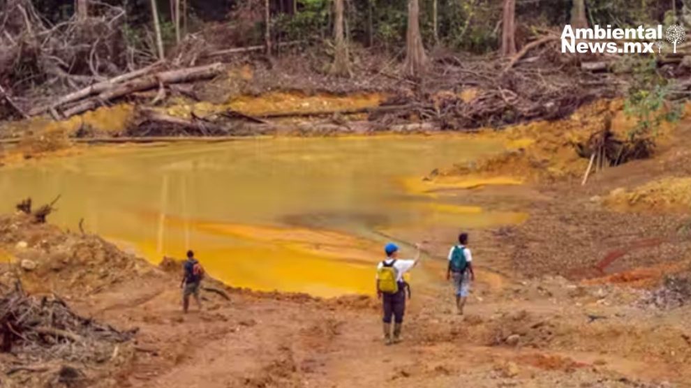 Mercurio en el suelo una amenaza que se agrava con el cambio climático