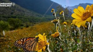 La llegada de la primavera: 5 señales de la naturaleza que indican el comienzo de la estación