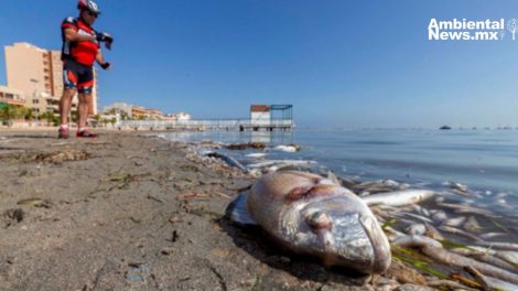 El cambio climático podría hacer que especies de peces desaparezcan más rápido de lo que se cree