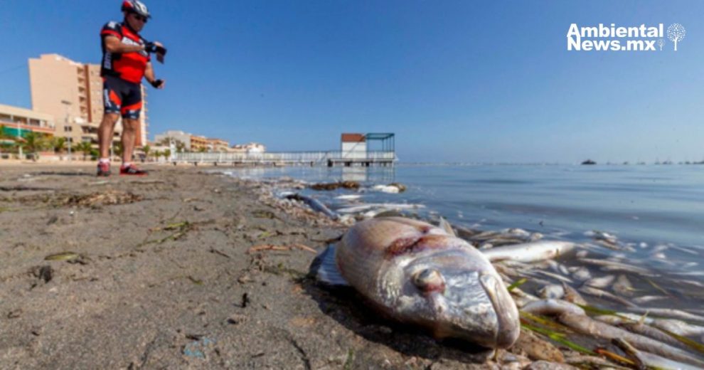 El cambio climático podría hacer que especies de peces desaparezcan más rápido de lo que se cree