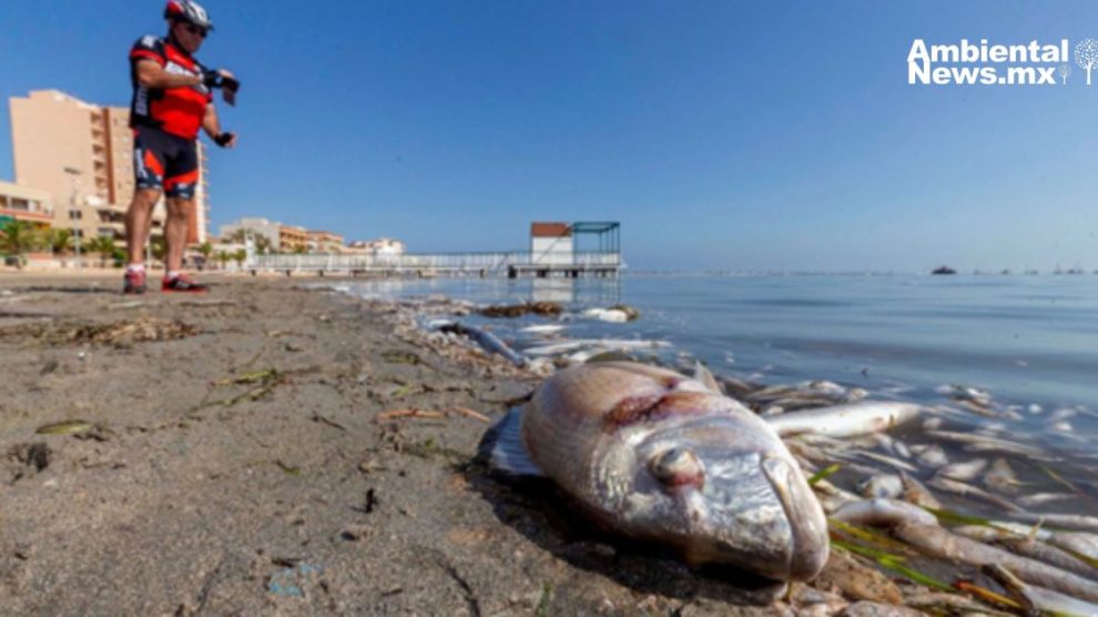 El cambio climático podría hacer que especies de peces desaparezcan más rápido de lo que se cree