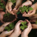 Cuando la comunidad se une, el medio ambiente gana así fue la jornada de arborización en el Club Muralla