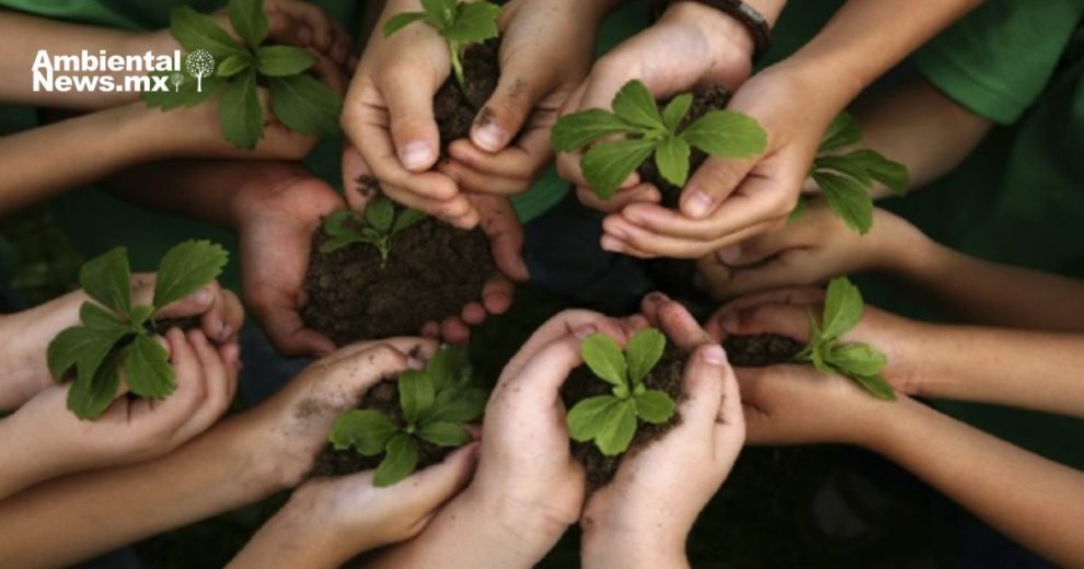 Cuando la comunidad se une, el medio ambiente gana así fue la jornada de arborización en el Club Muralla