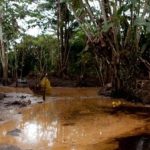 Derrames de petróleo en Ecuador, grave impacto de palma aceitera en derechos humanos, conservación de arrecifes de coral en México y más